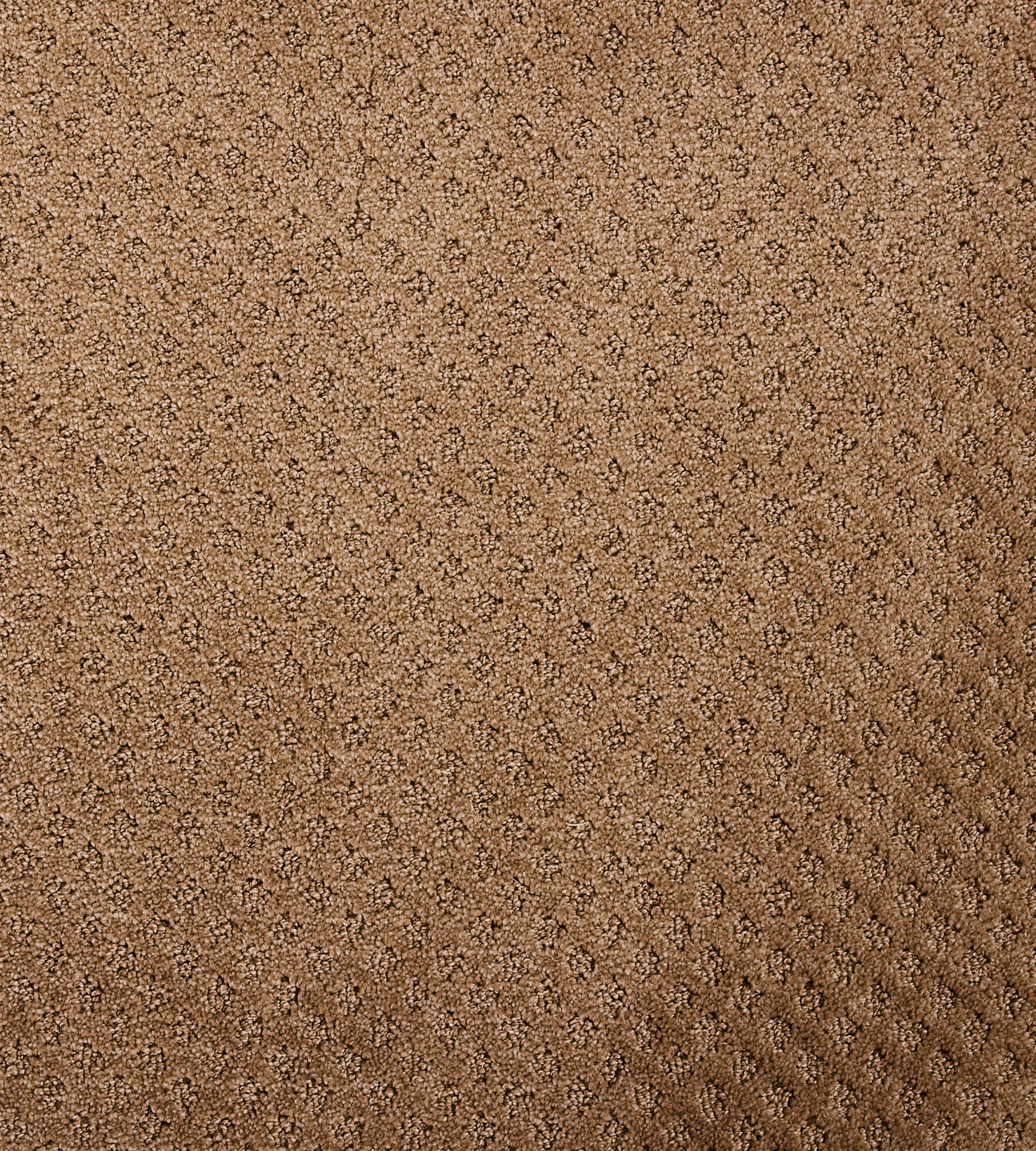 Bayside Charm - Sample - Image 4