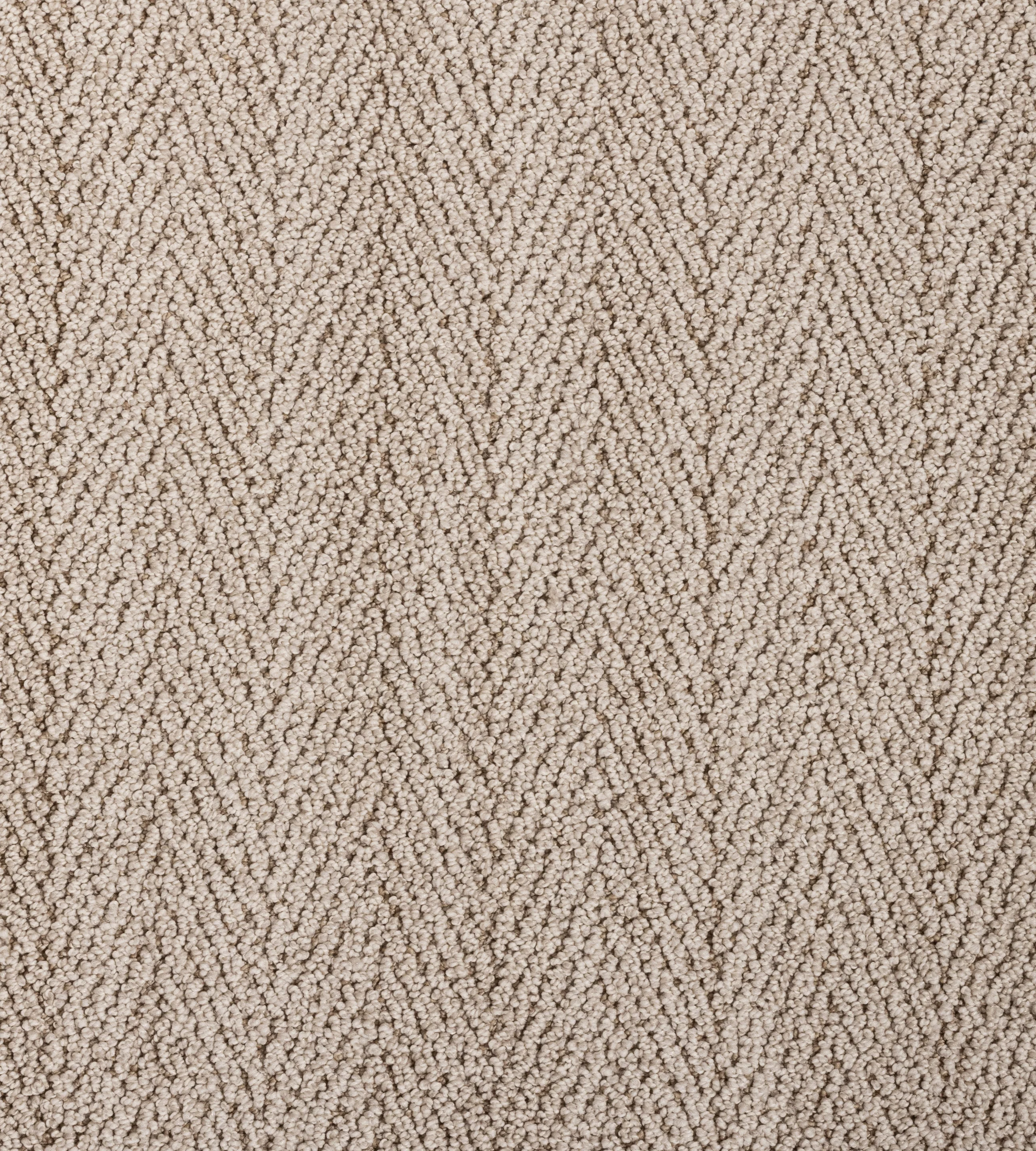 San Lucas - Sample - Image 4